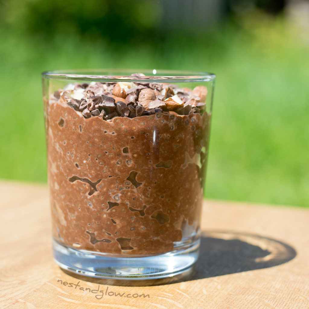 chocolate hazelnut overnight chia pudding