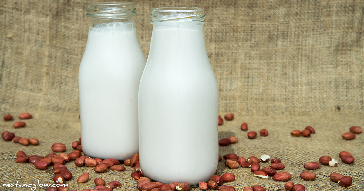 Sprouted Peanut Milk 2Ingredients Nest and Glow