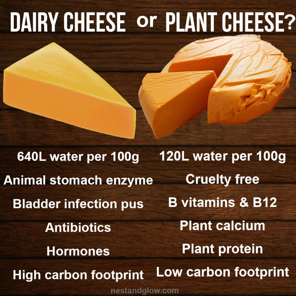 dairy cheese or plant cheese