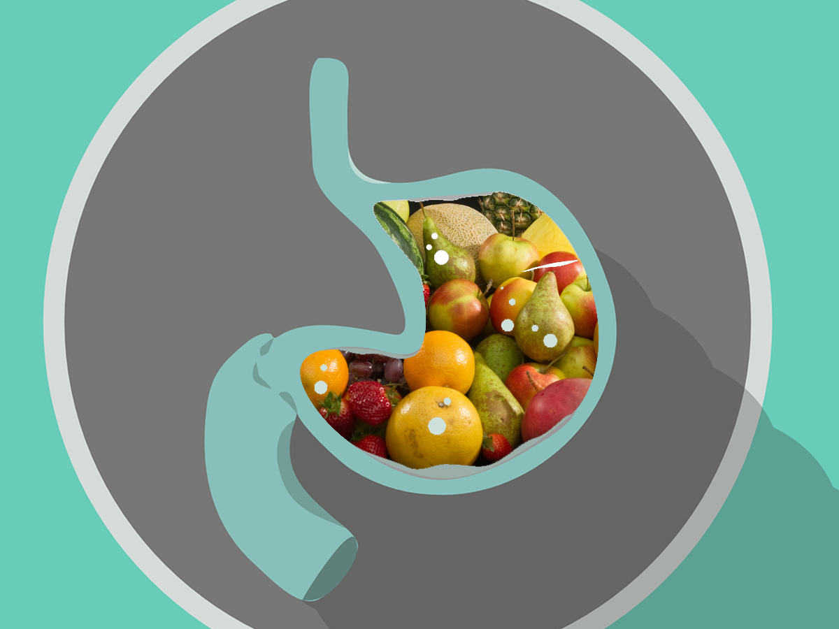 Time to Digest Foods and Why It’s Important Nest and Glow