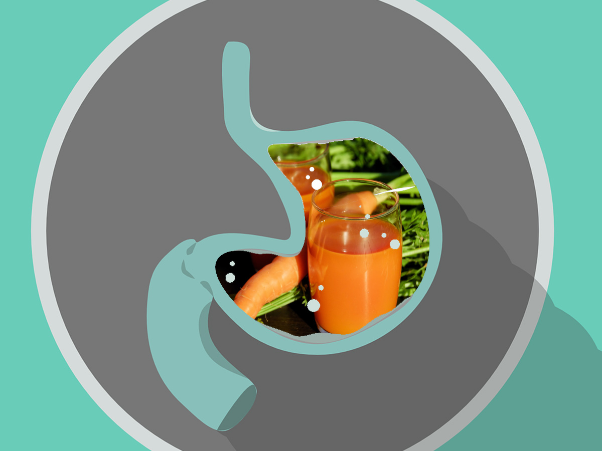 Time to Digest Foods and Why It’s Important Nest and Glow