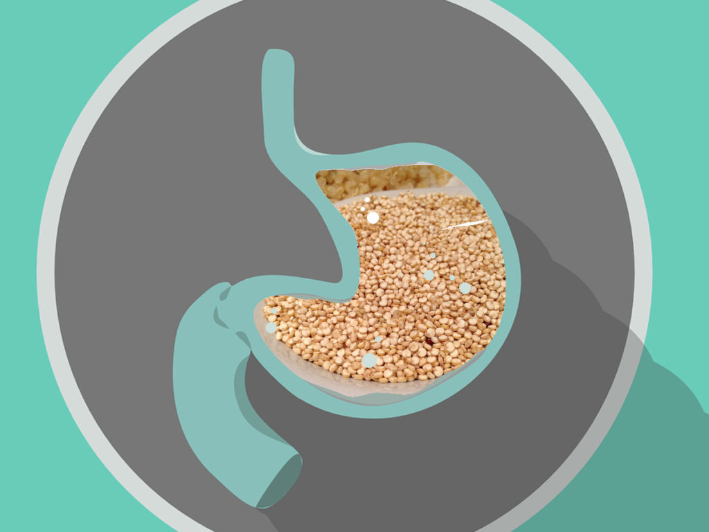 food digest quinoa