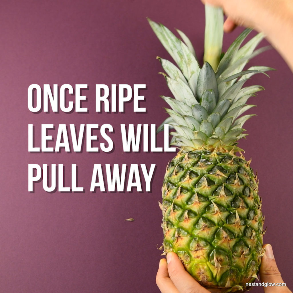 keep pineapple out of fridge to ripen