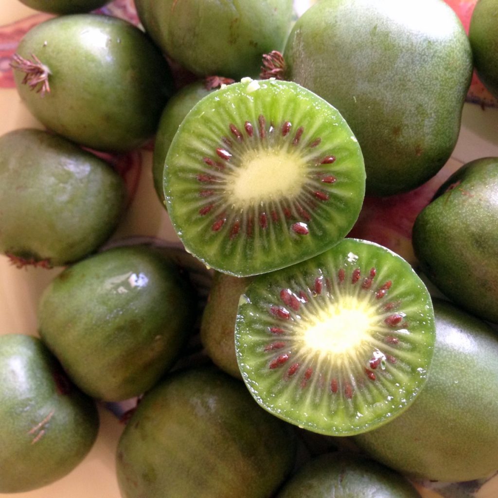 kiwi berry