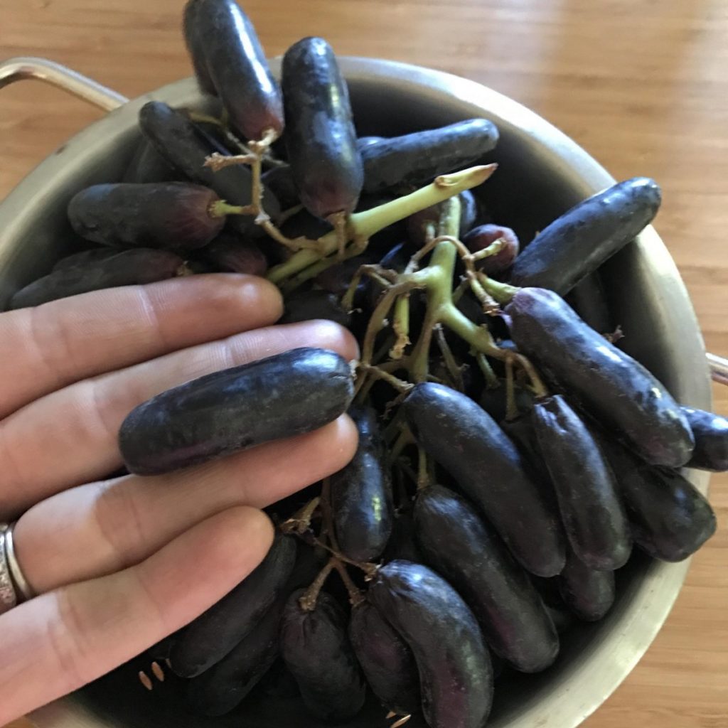 moon drop grapes