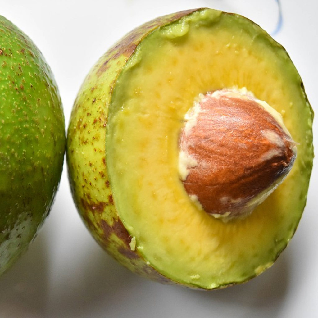 avocado facts questions and answers