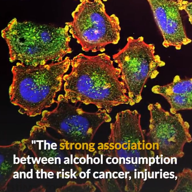 wine increases cancer and injuries