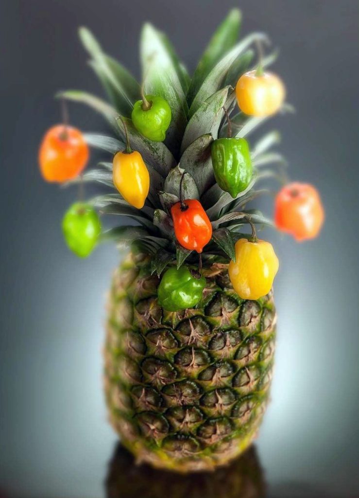 pineapple free fruit