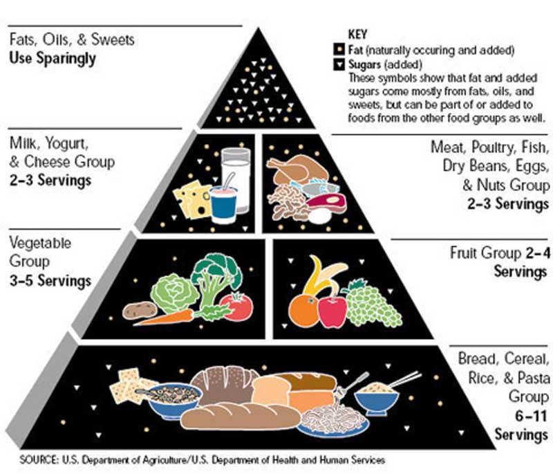 old food pyramid