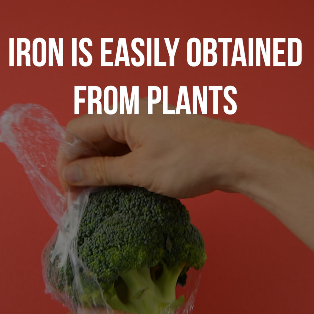 Iron is easily obtained from plants