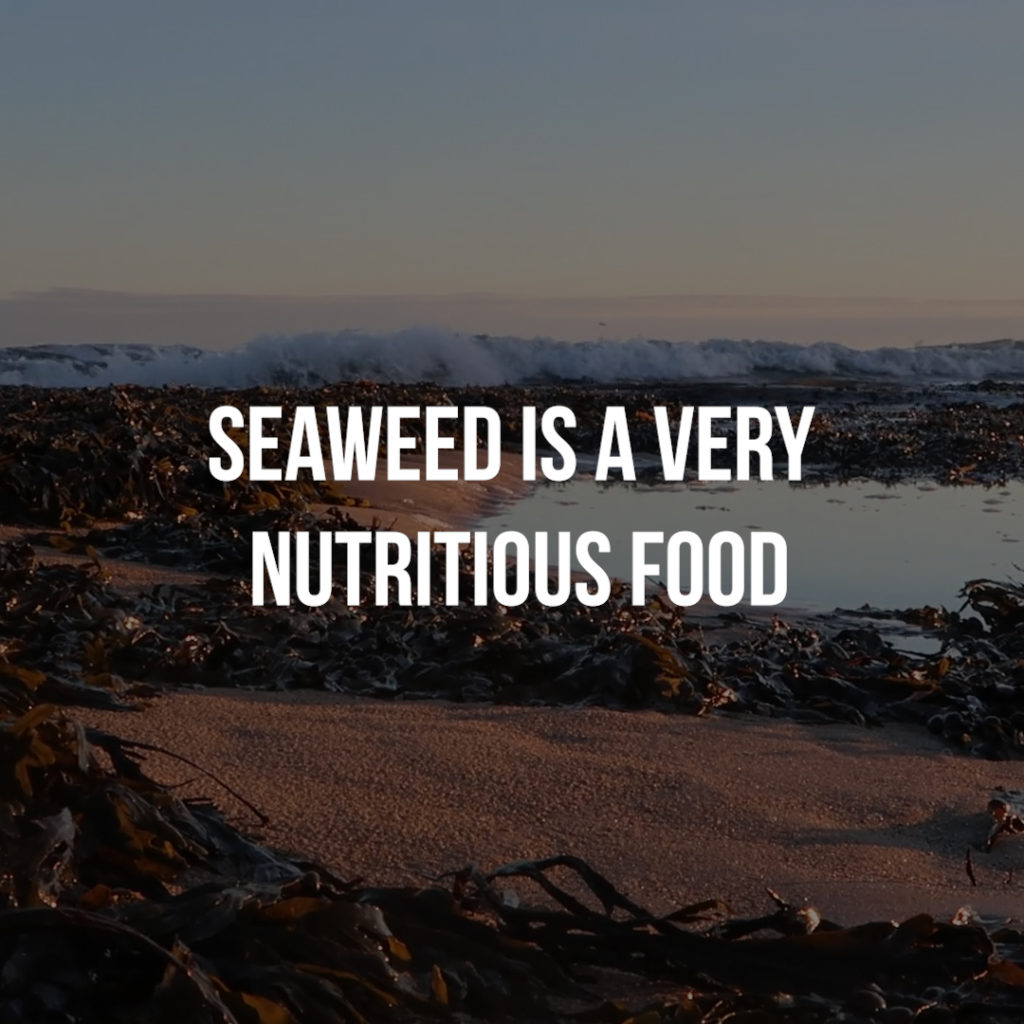 Seaweed is a very nutritious food