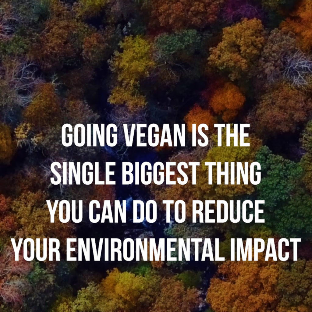 Going vegan is the single biggest thing you can do to reduce your environmental impact