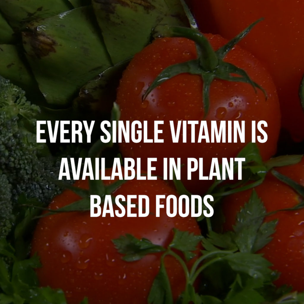 Every single vitamin is available in plant based foods