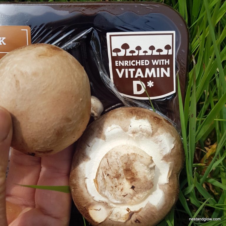 Mushrooms Now Contain Vitamin D Great News For Everyone Nest and Glow