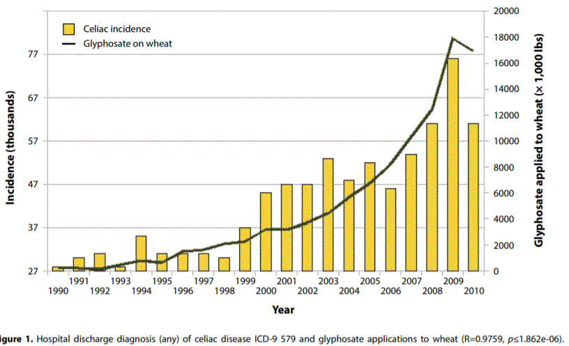 wheat glyphosate usage and gluten intolerance