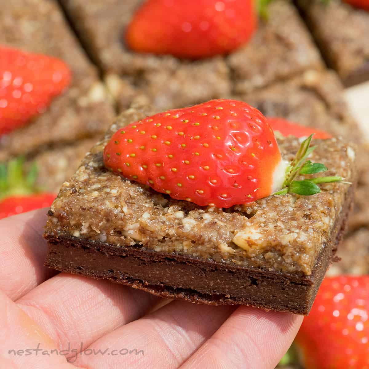 Quinoa Chocolate Brownie 4 Ingredients Nest and Glow