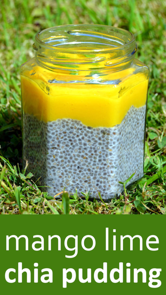 Quick and easy overnight chia seed pudding with almond milk that can be made in mins. Leave in the fridge overnight to make a healthy breakfast that is high in protein, fibre, omega 3 and two portions. #vegan #healthyrecipe #veganrecipe #chiapudding #breakfastrecipe