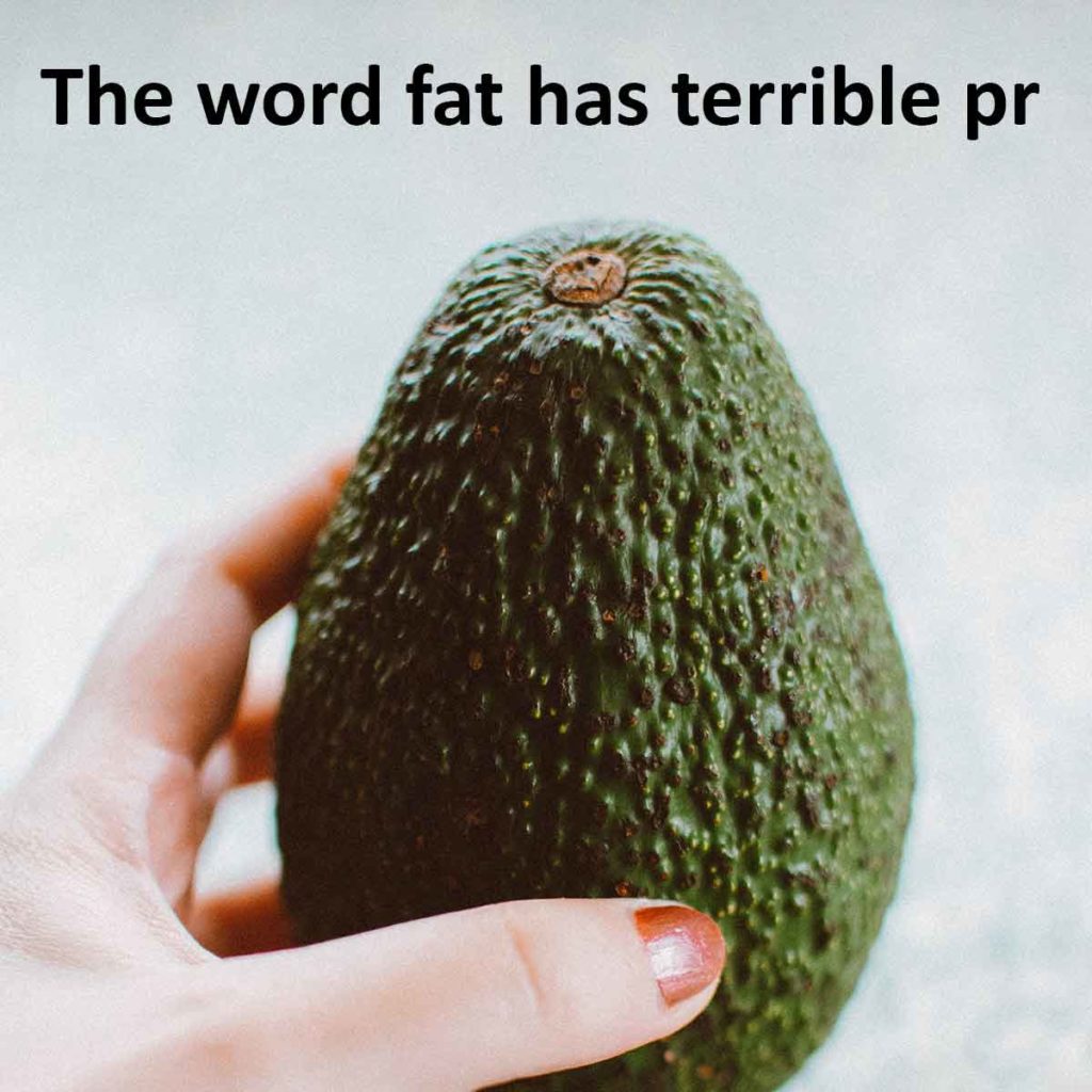 The word fat has terrible pr