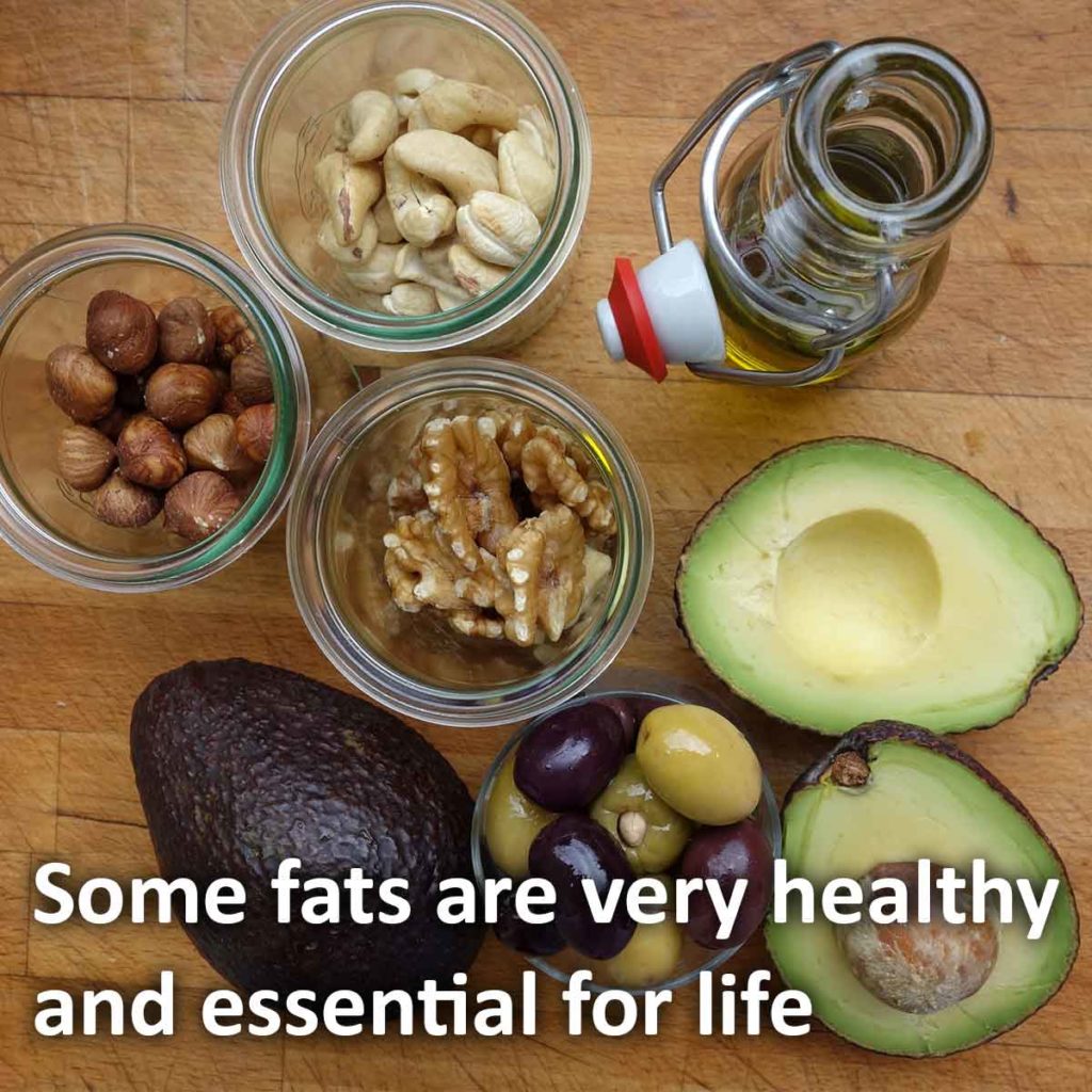 Some fats are very healthy and essential for life