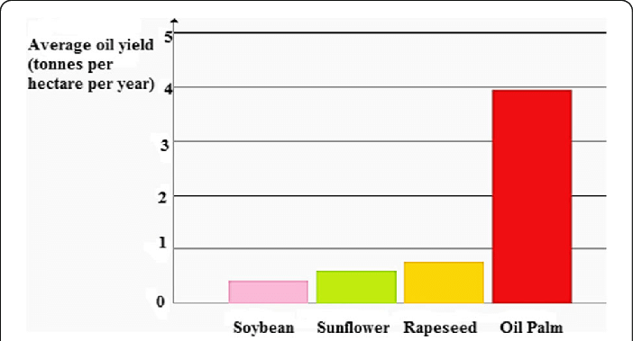 Oil palm production efficiency compared to other major oil crops